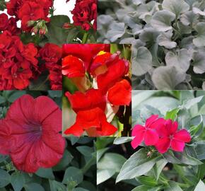 Sestava červených a stříbrných letniček na slunce