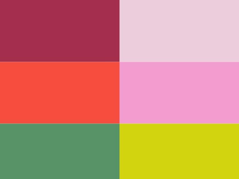 Trvalkový záhon do stínu Svah ve stínu - Svah ve stínu