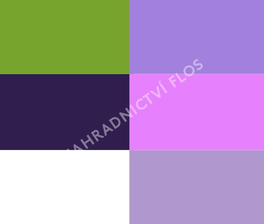 Trvalkový záhon do polostínu Barevný soumrak - Barevný soumrak