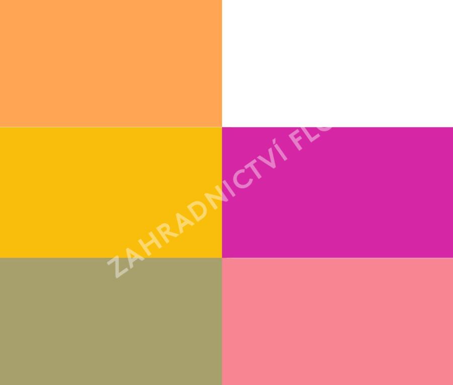 Trvalkový záhon na slunce Horké léto - Horké léto