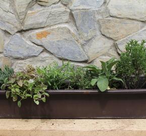 Sestava bylinek pro středomořskou kuchyni