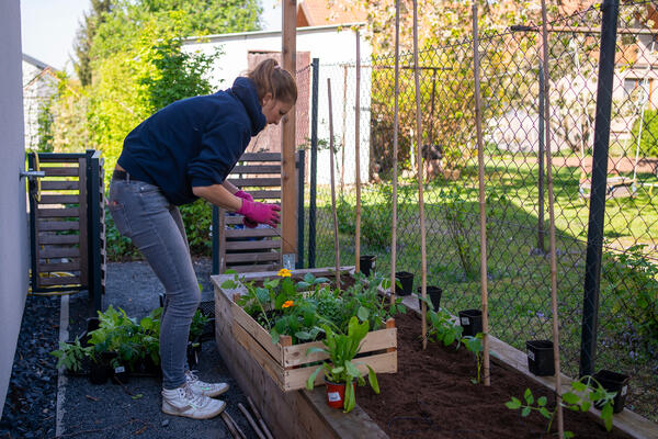 Výsadba vyvýšeného záhonu