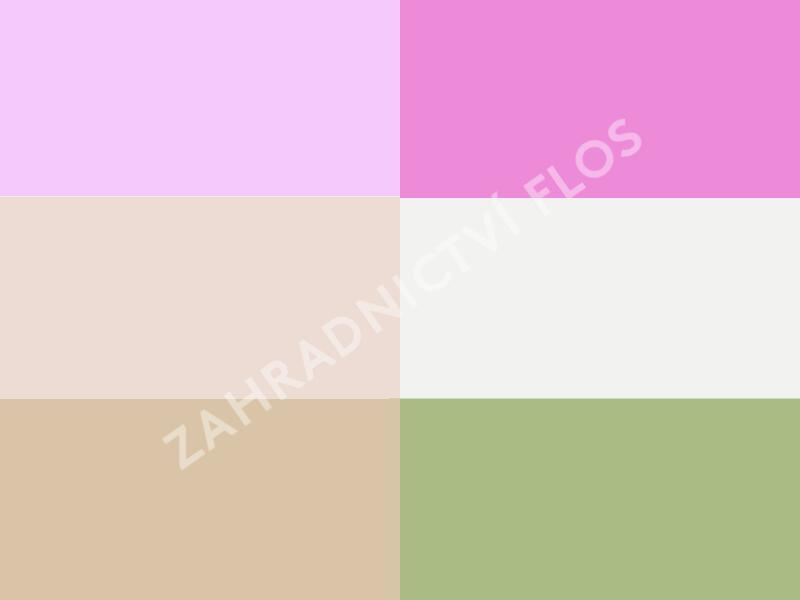 Trvalkový záhon na slunce a do polostínu Kouzlo trav - Kouzlo trav