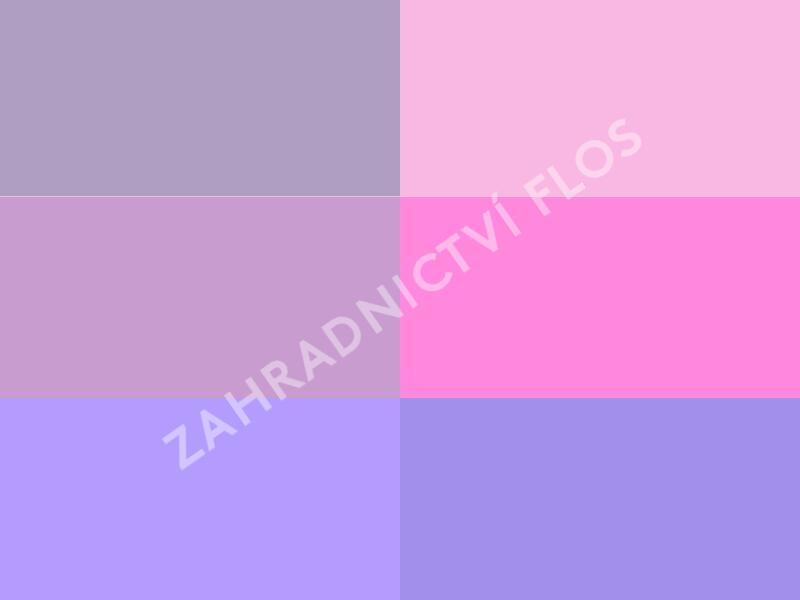 Trvalkový záhon na slunce Oáza hmyzu - Oáza hmyzu