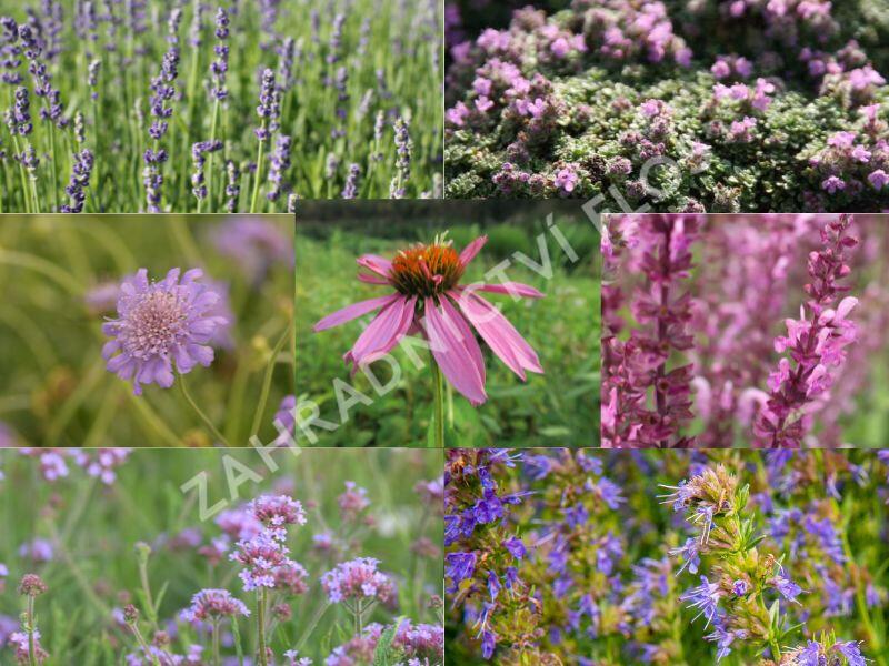 Trvalkový záhon na slunce Oáza hmyzu - Oáza hmyzu