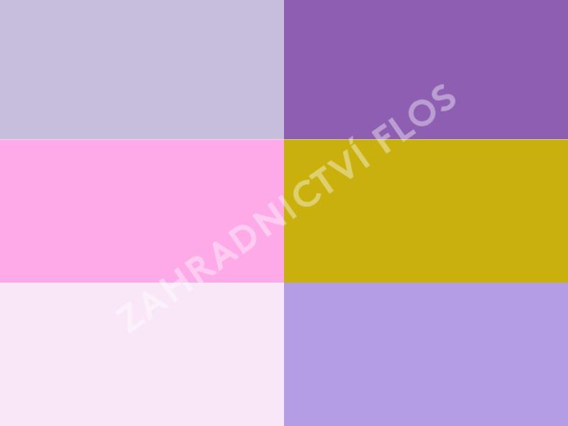 Bylinkový záhon Bylinková zahrádka - Bylinková zahrádka