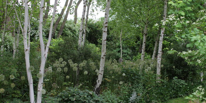 Víkend otevřených zahrad