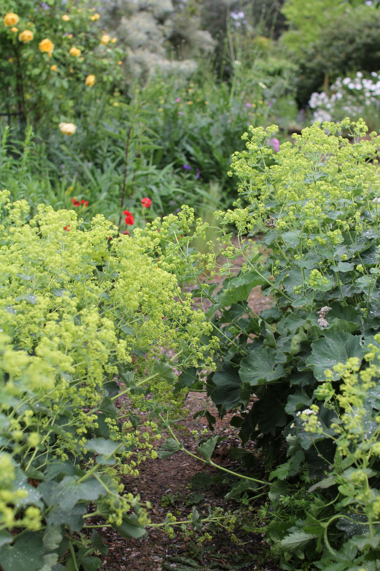 Libušín víkend otevřených zahrad