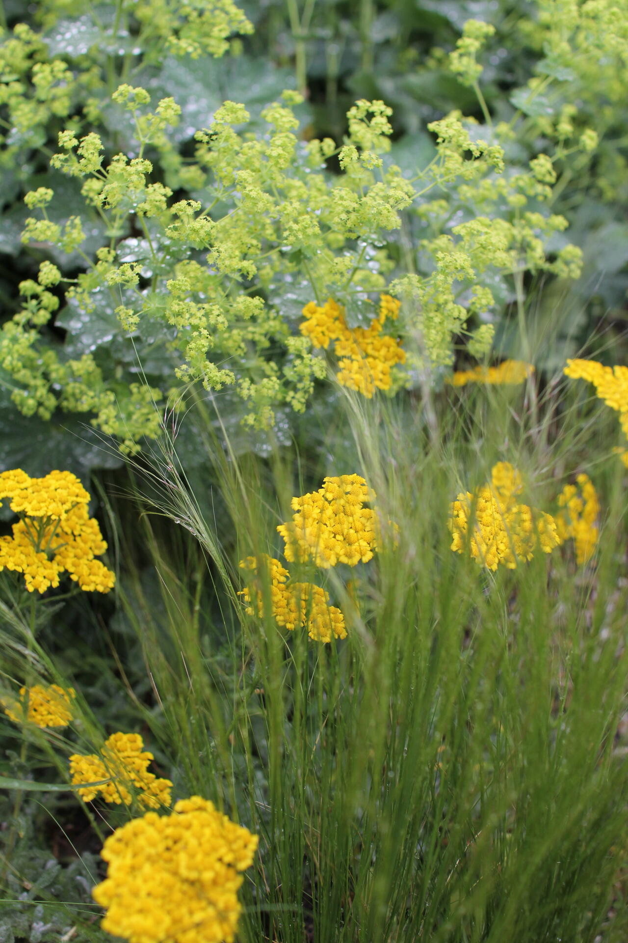 Libušín víkend otevřených zahrad