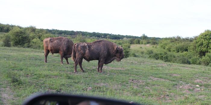 Přírodní rezervace Milovice