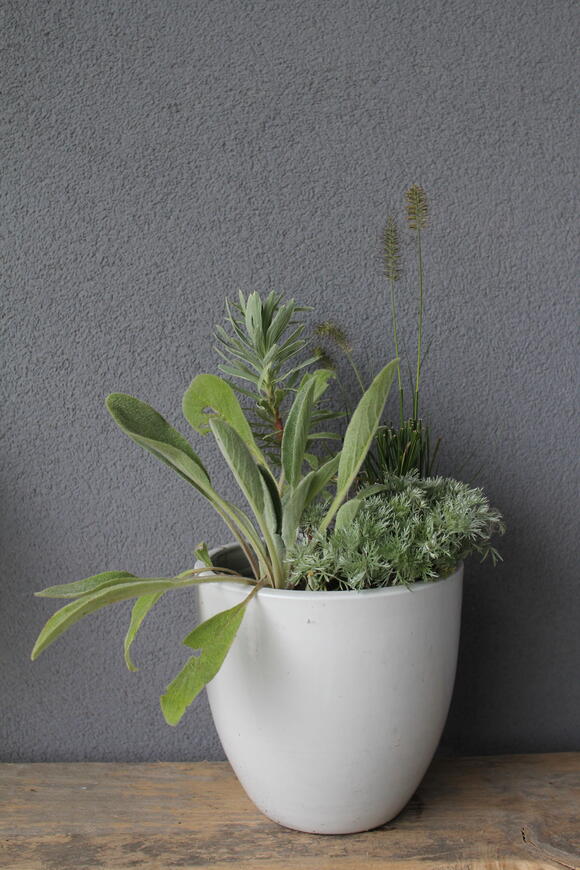 Podzimní kombinace na slunce