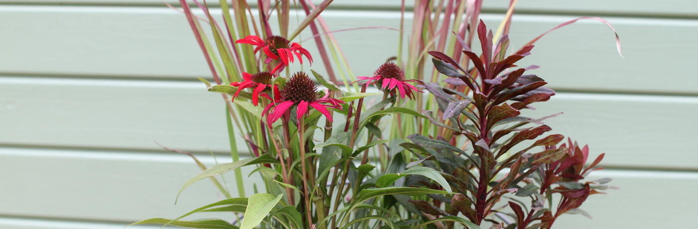 Kombinace do podzimních nádob