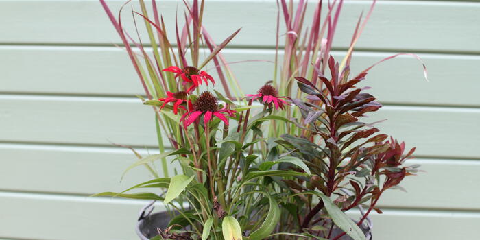 Kombinace do podzimních nádob