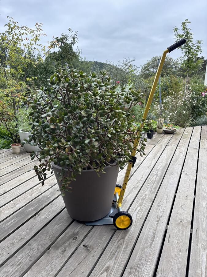 Univerzální vozík na rostliny - Vozík na rostliny