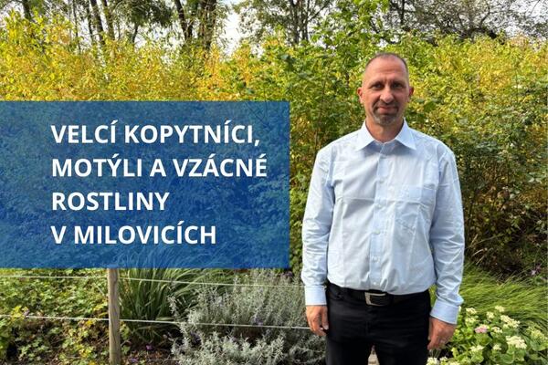 Dostál rozhovor Po uši v hlíně