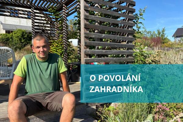 Lokální okolík rozhovor Po uši v hlíně