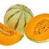 Cucumis melo 'Exelor F1'.jpg