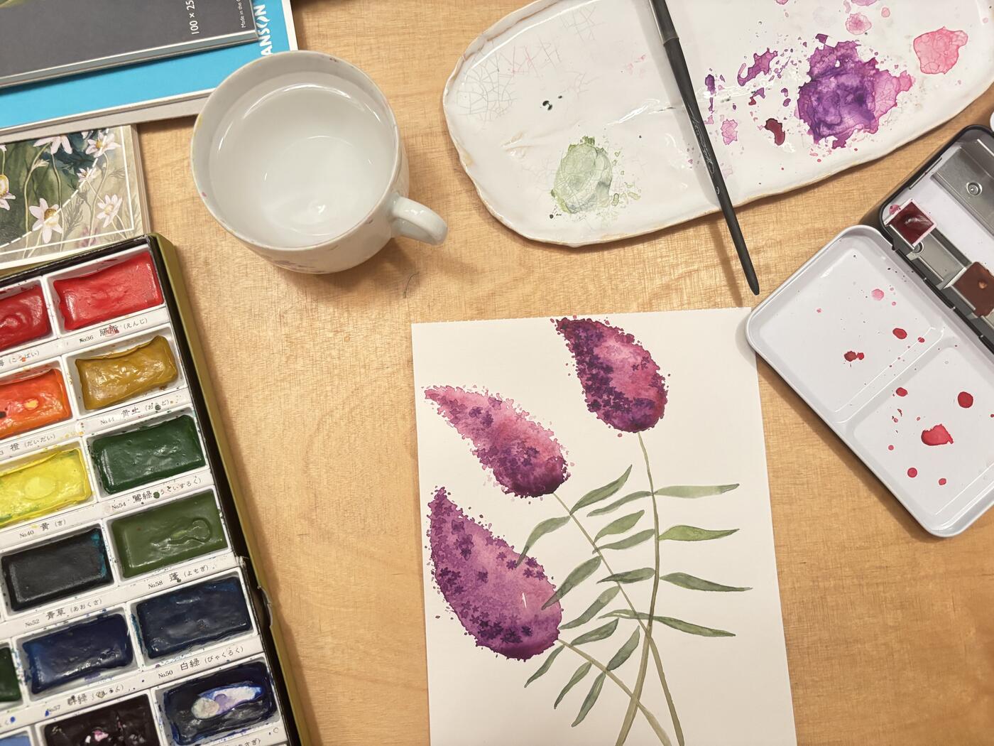 herbář motýlí keř