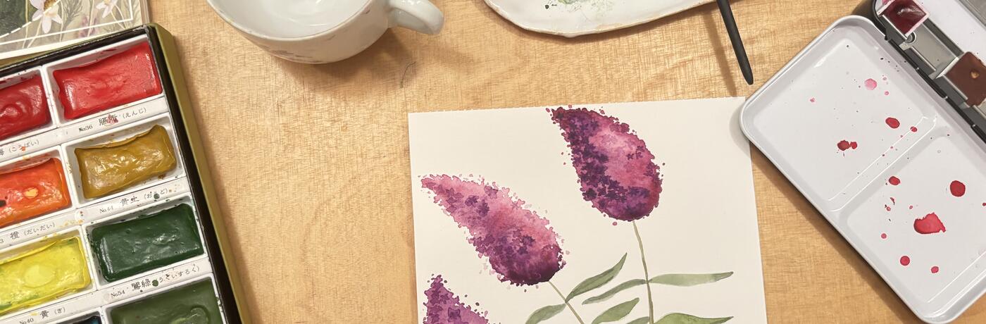 herbář motýlí keř