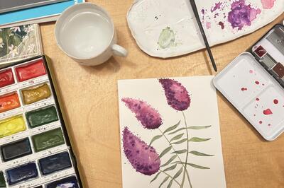 herbář motýlí keř