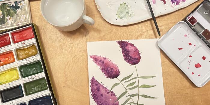 herbář motýlí keř