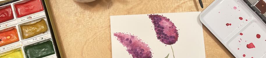 herbář motýlí keř