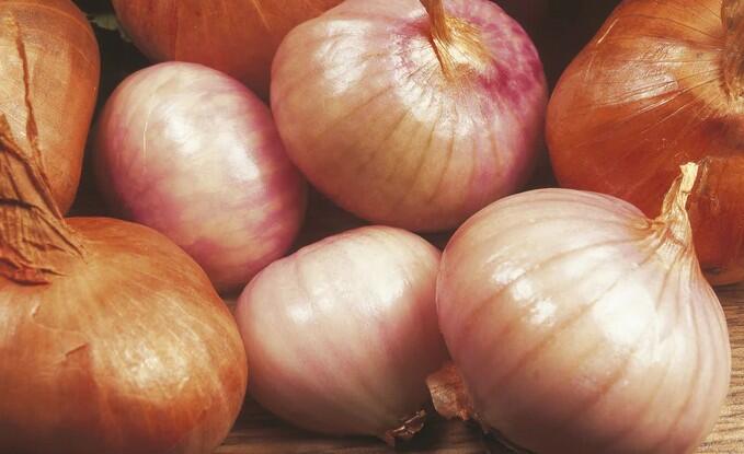 Cibule šalotka, žlutá 'Ambition F1' - Allium cepa 'Ambition F1'