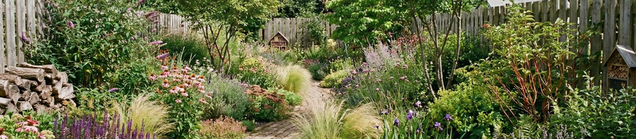 Zahradní trendy 2026