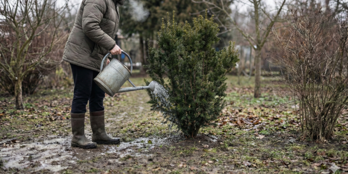 seznam prací v zahradě na únor