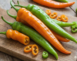 Paprika polní beraní roh sladký 'Orahorn'