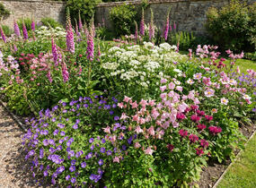 Trvalkový záhon do polostínu Anglický venkov - Anglický venkov