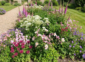 Trvalkový záhon do polostínu Anglický venkov - Anglický venkov