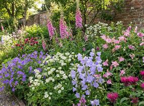 Trvalkový záhon do polostínu Anglický venkov - Anglický venkov