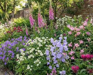 Trvalkový záhon do polostínu Anglický venkov