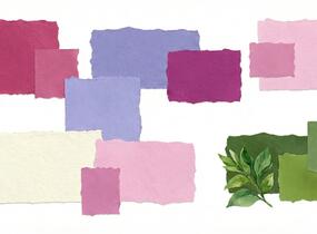 Trvalkový záhon do polostínu Anglický venkov - Anglický venkov