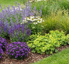 Kombinovaný záhon na slunce Malá reprezentativní zahrada