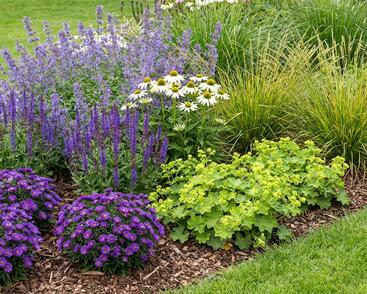 Kombinovaný záhon na slunce Malá reprezentativní zahrada