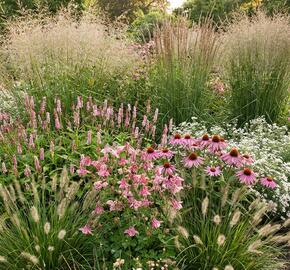 Trvalkový záhon na slunce a do polostínu Kouzlo trav