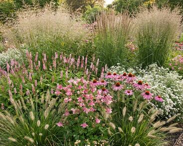 Trvalkový záhon na slunce a do polostínu Kouzlo trav