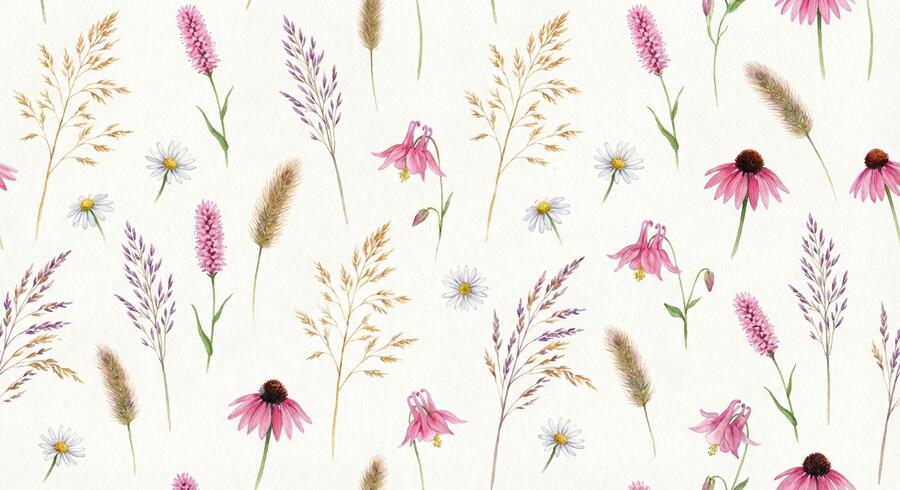 Trvalkový záhon na slunce a do polostínu Kouzlo trav - Kouzlo trav