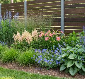 Trvalkový záhon do polostínu Barevná nezávislost