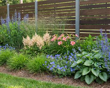 Trvalkový záhon do polostínu Barevná nezávislost