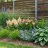 Barevná nezávislost.jpeg