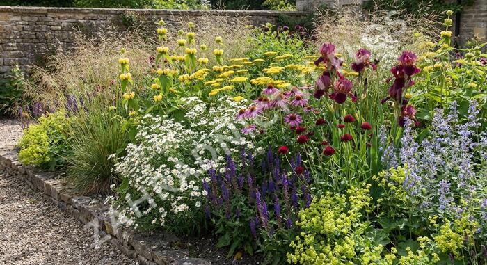 Trvalkový záhon na slunce Barvy léta - Barvy léta
