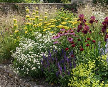 Trvalkový záhon na slunce Barvy léta