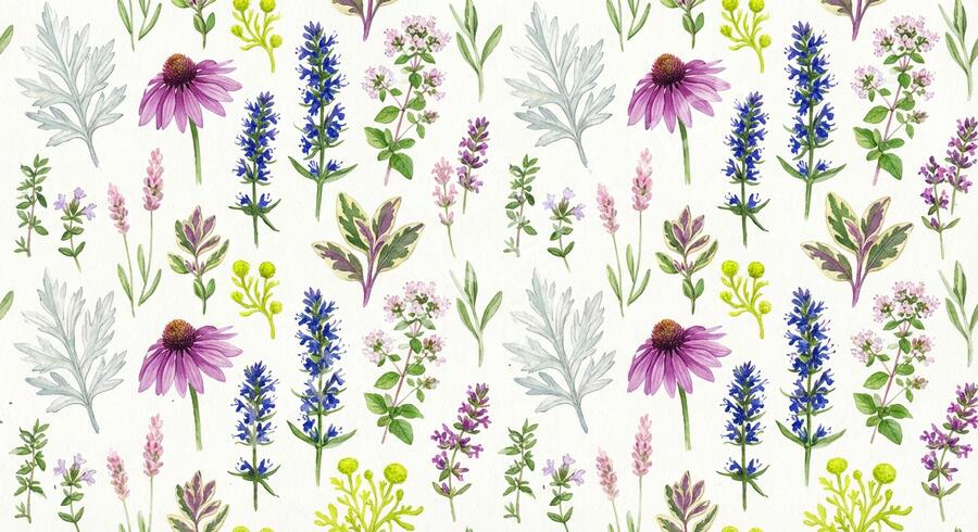 Bylinkový záhon Bylinková zahrádka - Bylinková zahrádka