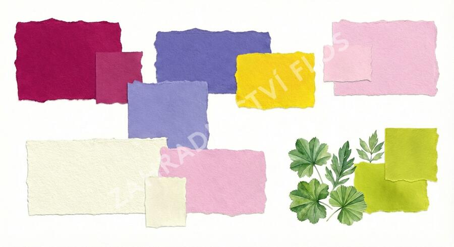 Trvalkový záhon na slunce Domácí kvítí - Domácí kvítí