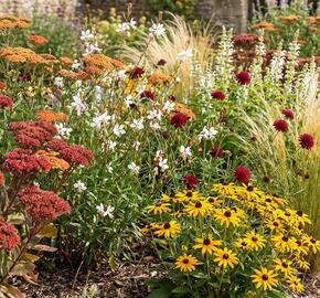 Trvalkový záhon na slunce Horké léto