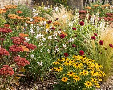Trvalkový záhon na slunce Horké léto
