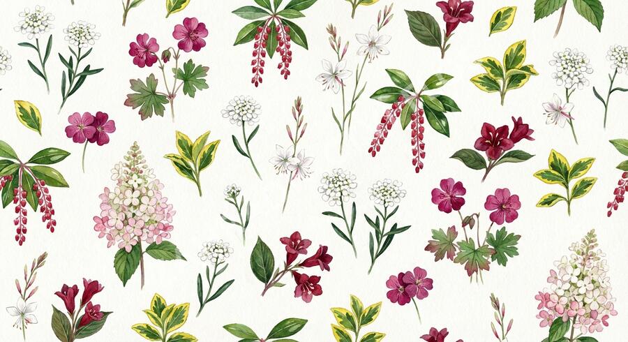 Kombinovaný záhon na slunce Keřová zahrada - Keřová zahrada